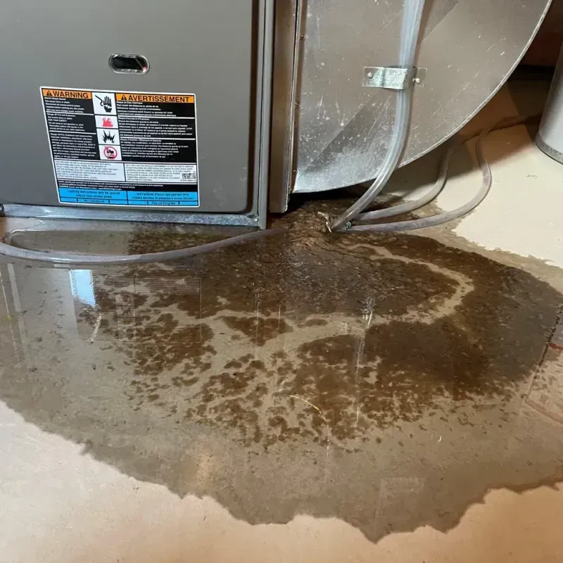 Appliance Leak Cleanup in Zion, IL